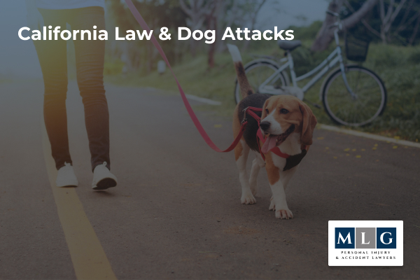 California law & dog attacks